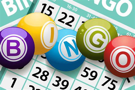 bingo web